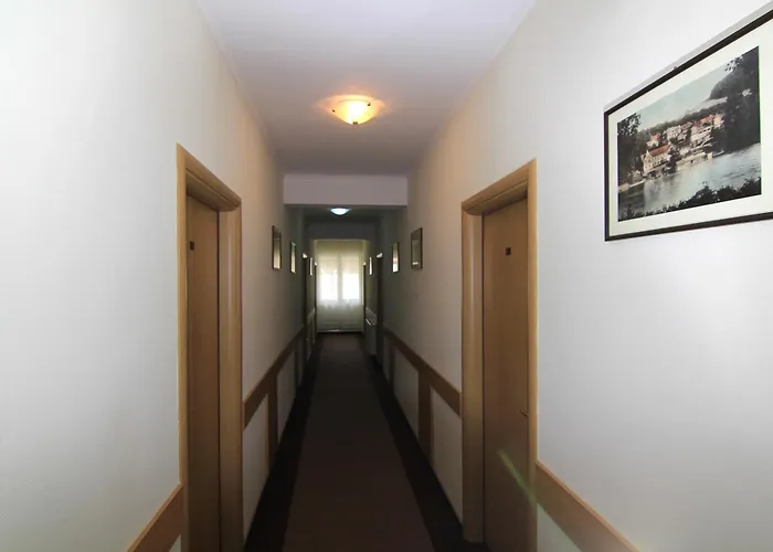 Hotel Muresul Health Spa